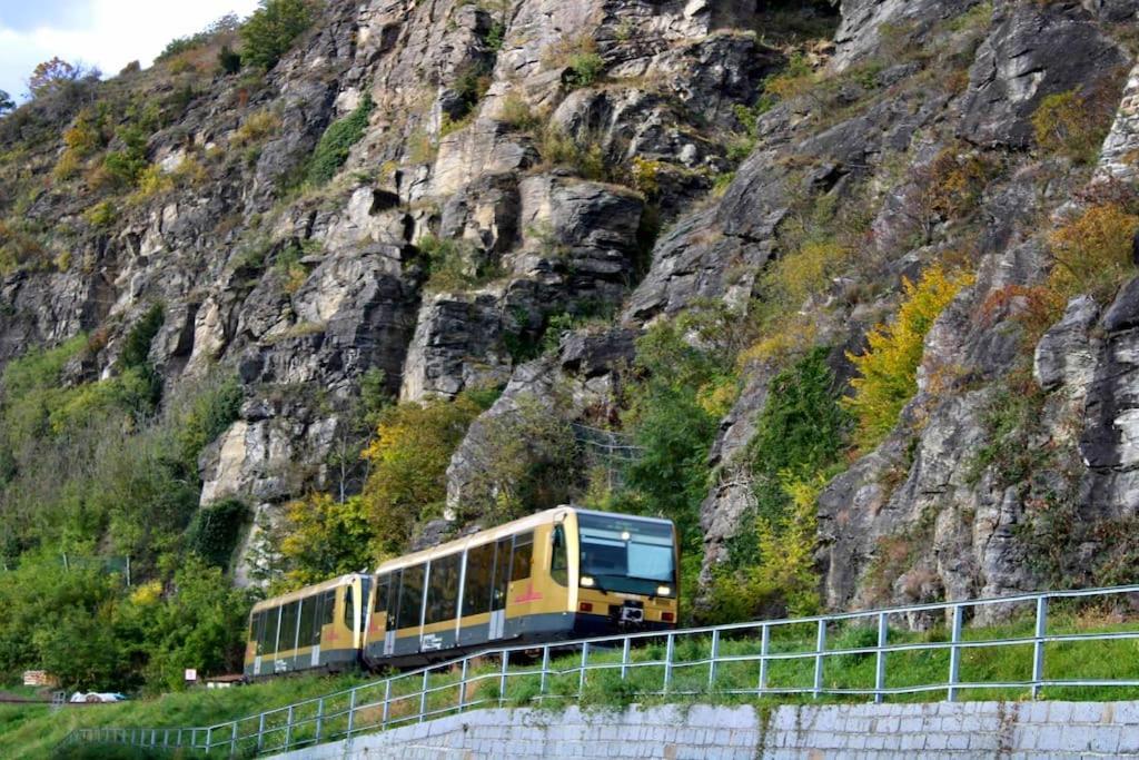 Haus-Donau In Der Wachau Lejlighed Aggsbach Eksteriør billede