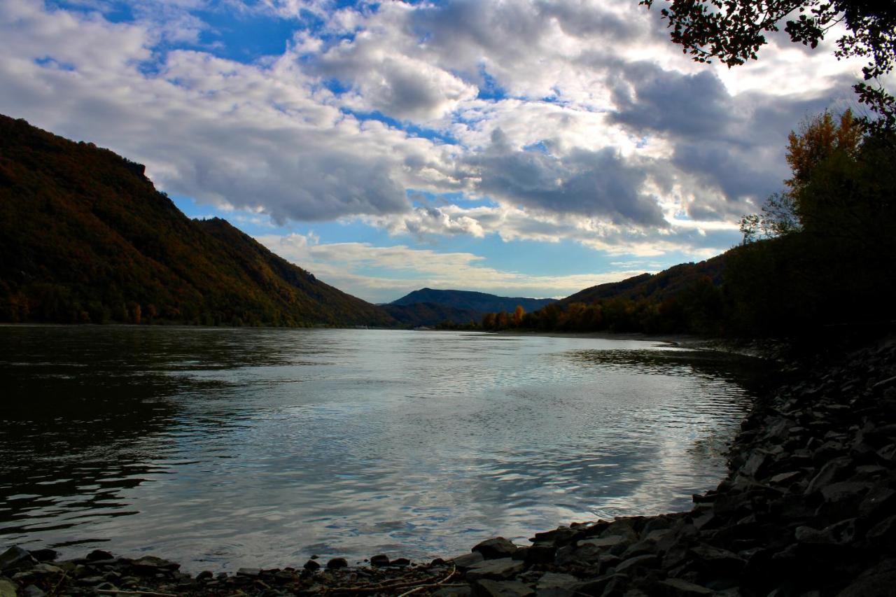 Haus-Donau In Der Wachau Lejlighed Aggsbach Eksteriør billede