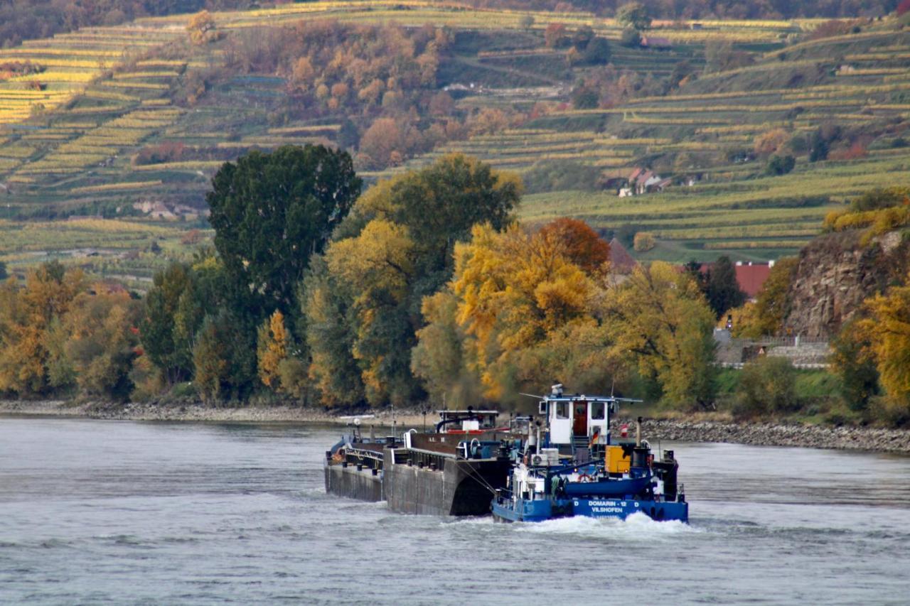 Haus-Donau In Der Wachau Lejlighed Aggsbach Eksteriør billede