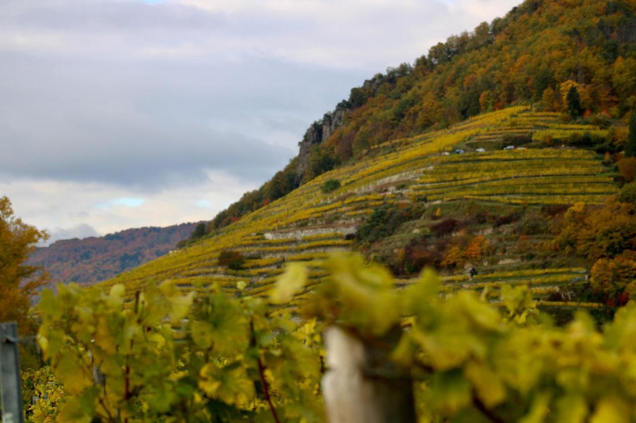 Haus-Donau In Der Wachau Lejlighed Aggsbach Eksteriør billede