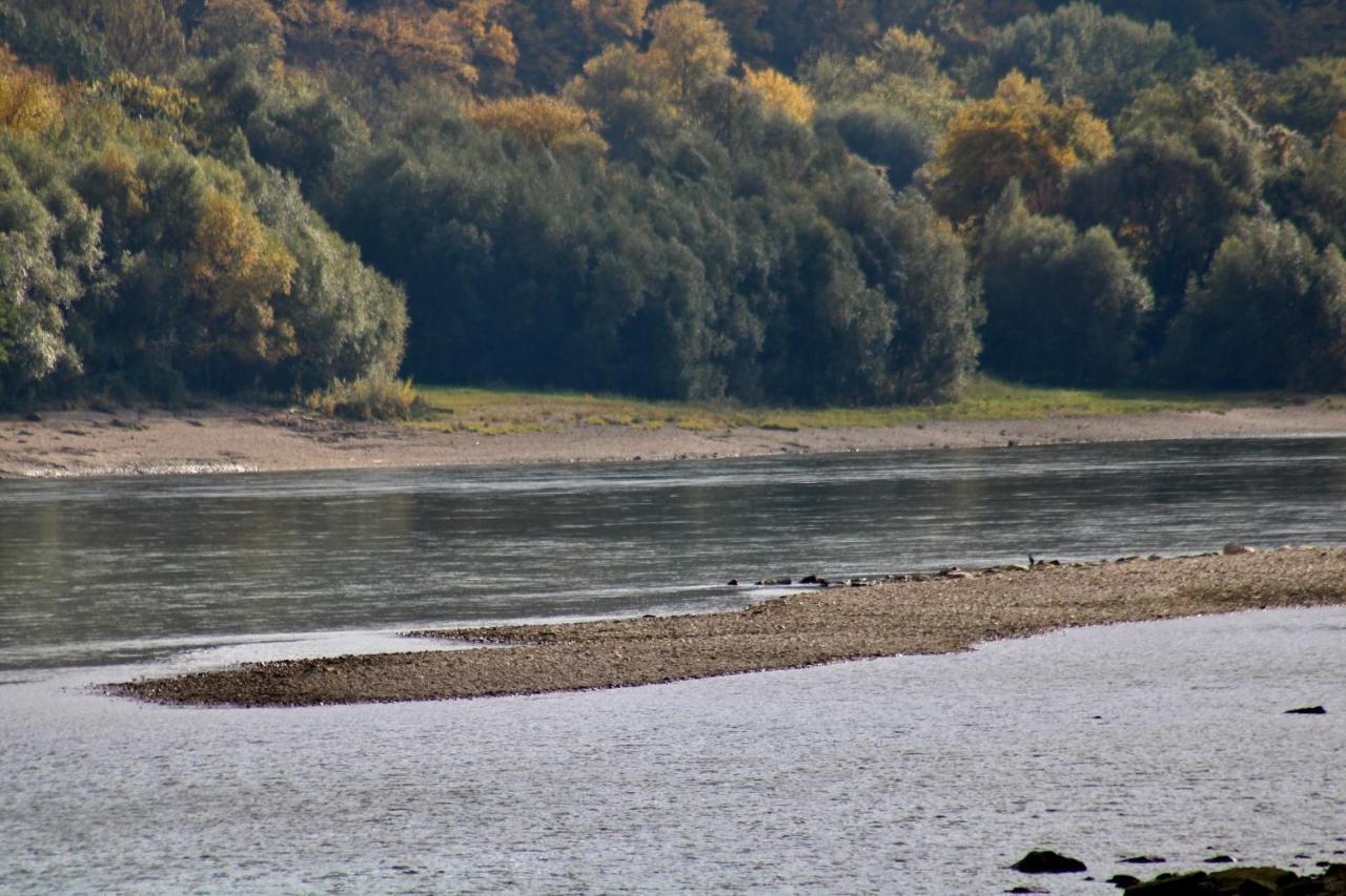 Haus-Donau In Der Wachau Lejlighed Aggsbach Eksteriør billede