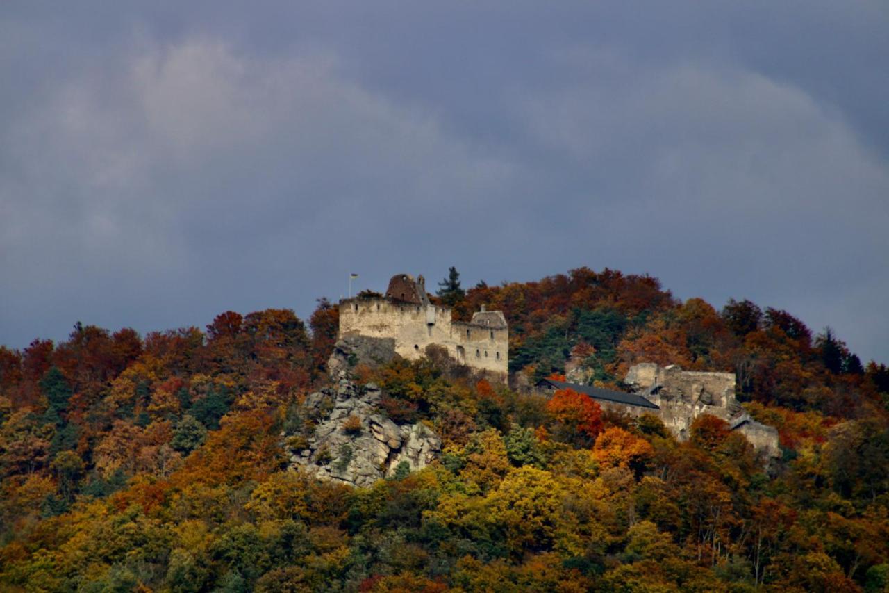 Haus-Donau In Der Wachau Lejlighed Aggsbach Eksteriør billede