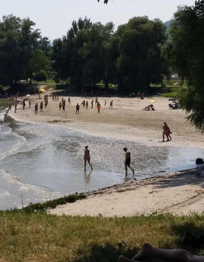 Haus-Donau In Der Wachau Lejlighed Aggsbach Eksteriør billede