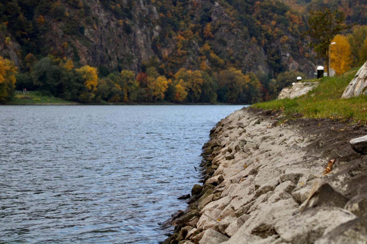 Haus-Donau In Der Wachau Lejlighed Aggsbach Eksteriør billede